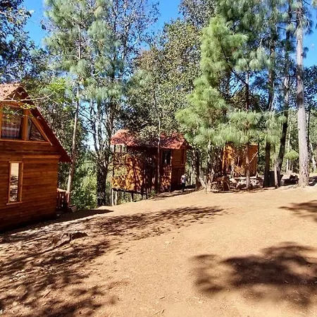 Cabana En El Bosque De San Jose Del Pacifico 3 Exterior photo