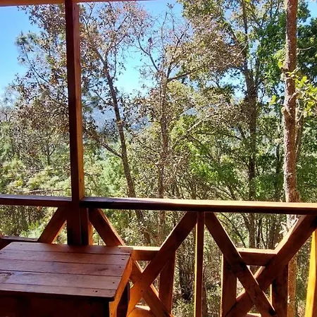 Cabana En El Bosque De San Jose Del Pacifico 3 Exterior photo