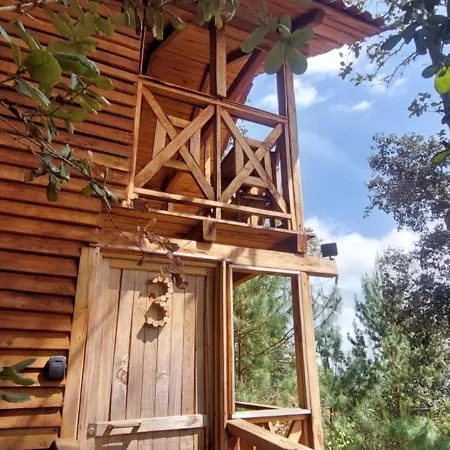 Cabana En El Bosque De San Jose Del Pacifico 3 Exterior photo