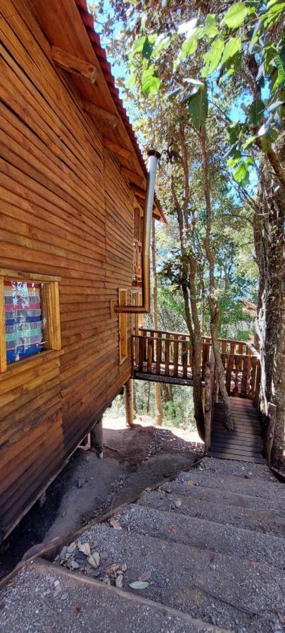 En El Bosque De San Jose Del Pacifico 3 Chalet El Pacifico